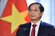 ຫວຽດນາມ ກັບສະຫະປະຊາຊາດ, ອາເມລິກາ ແລະບຣາຊິນ ຊຸກຍູ້ການພົວພັນຮ່ວມມືທີ່ແທດຈິງ